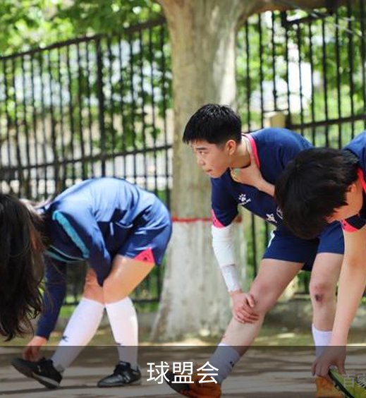 关于球盟会